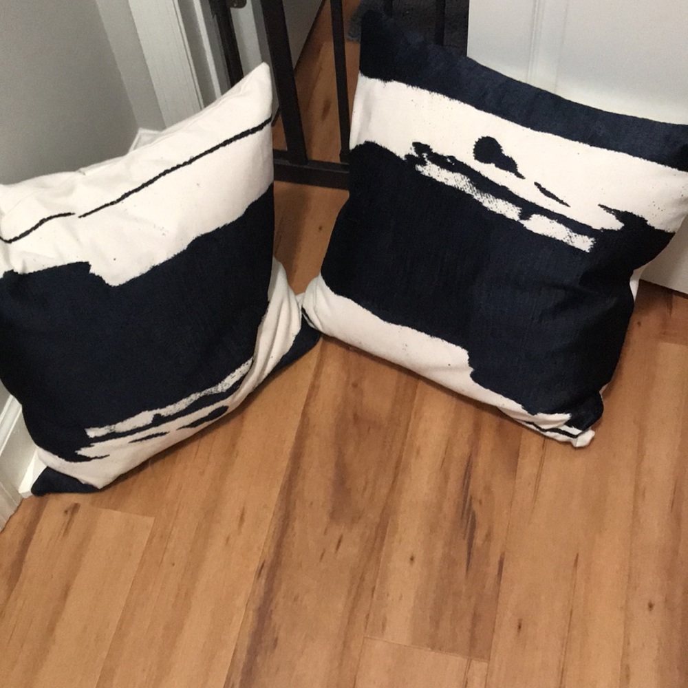 West Elm. Pillow covers and inserts. Never used